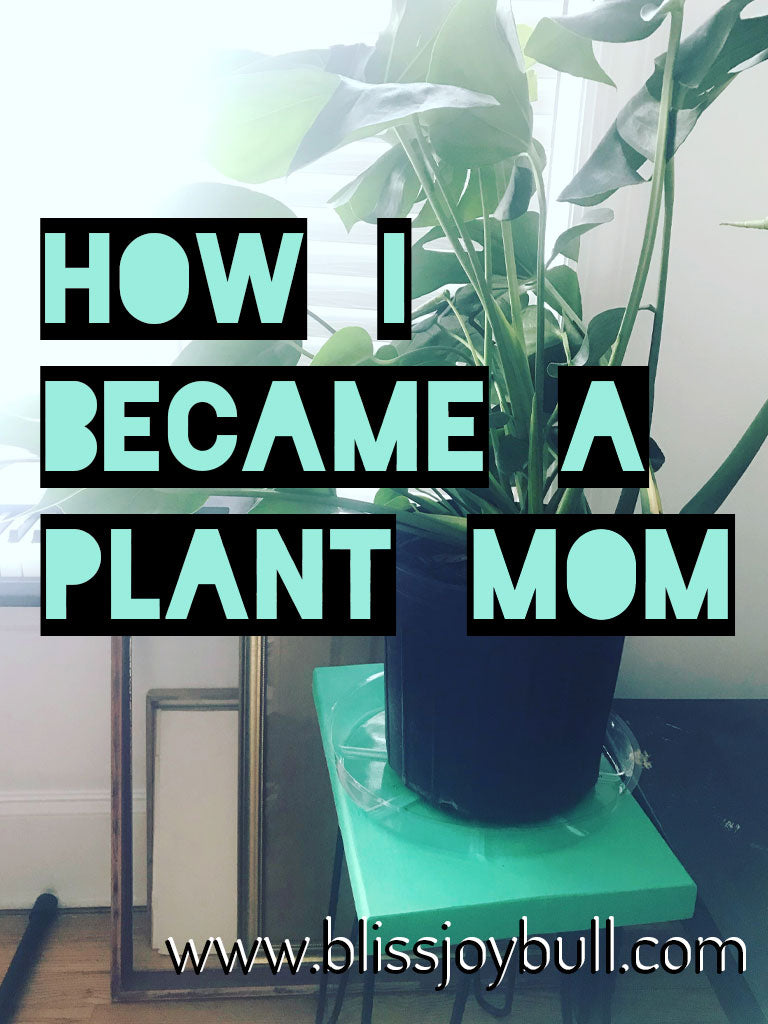 How I Became a Plant Mom