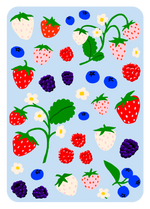 Load image into Gallery viewer, Colorful illustration of strawberries, blueberries, and raspberries on a light blue background

